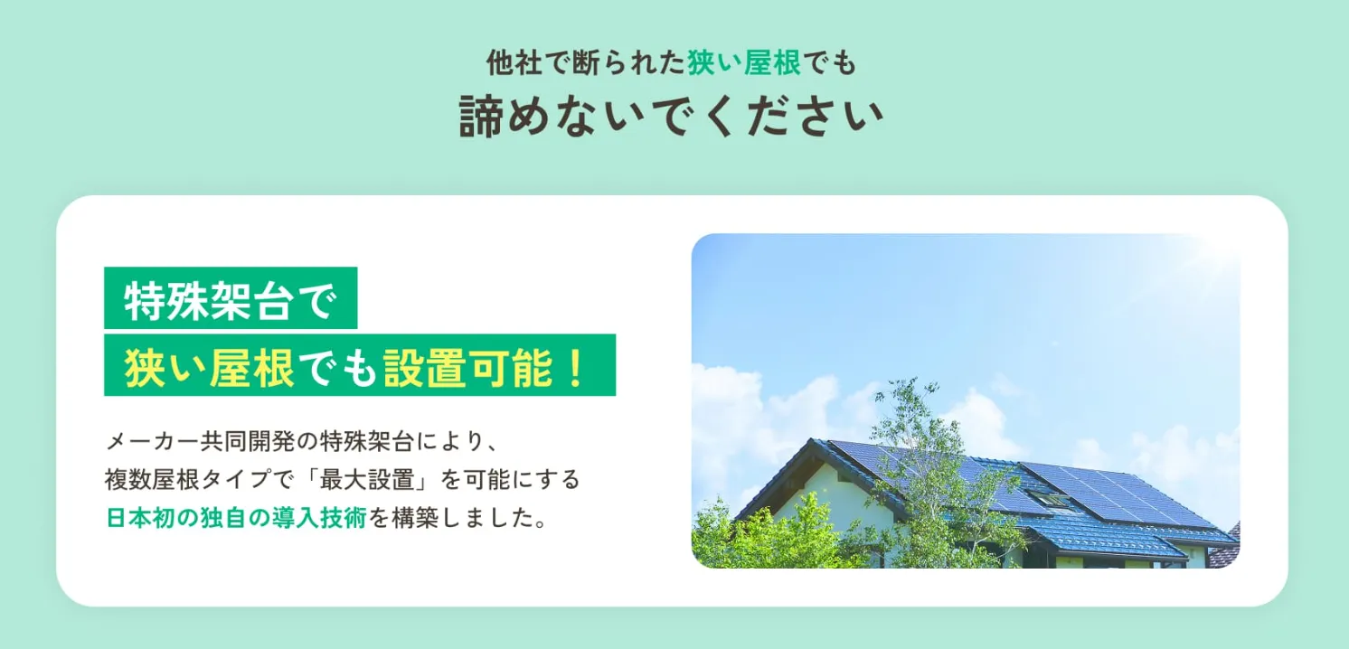 えねこ