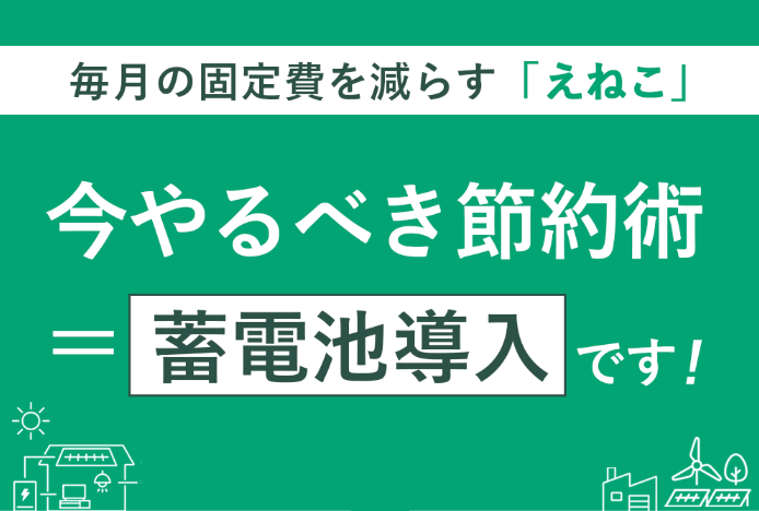 えねこ